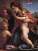 The Virgin and Child with St. John childhood, as well as two angels Andrea del Sarto